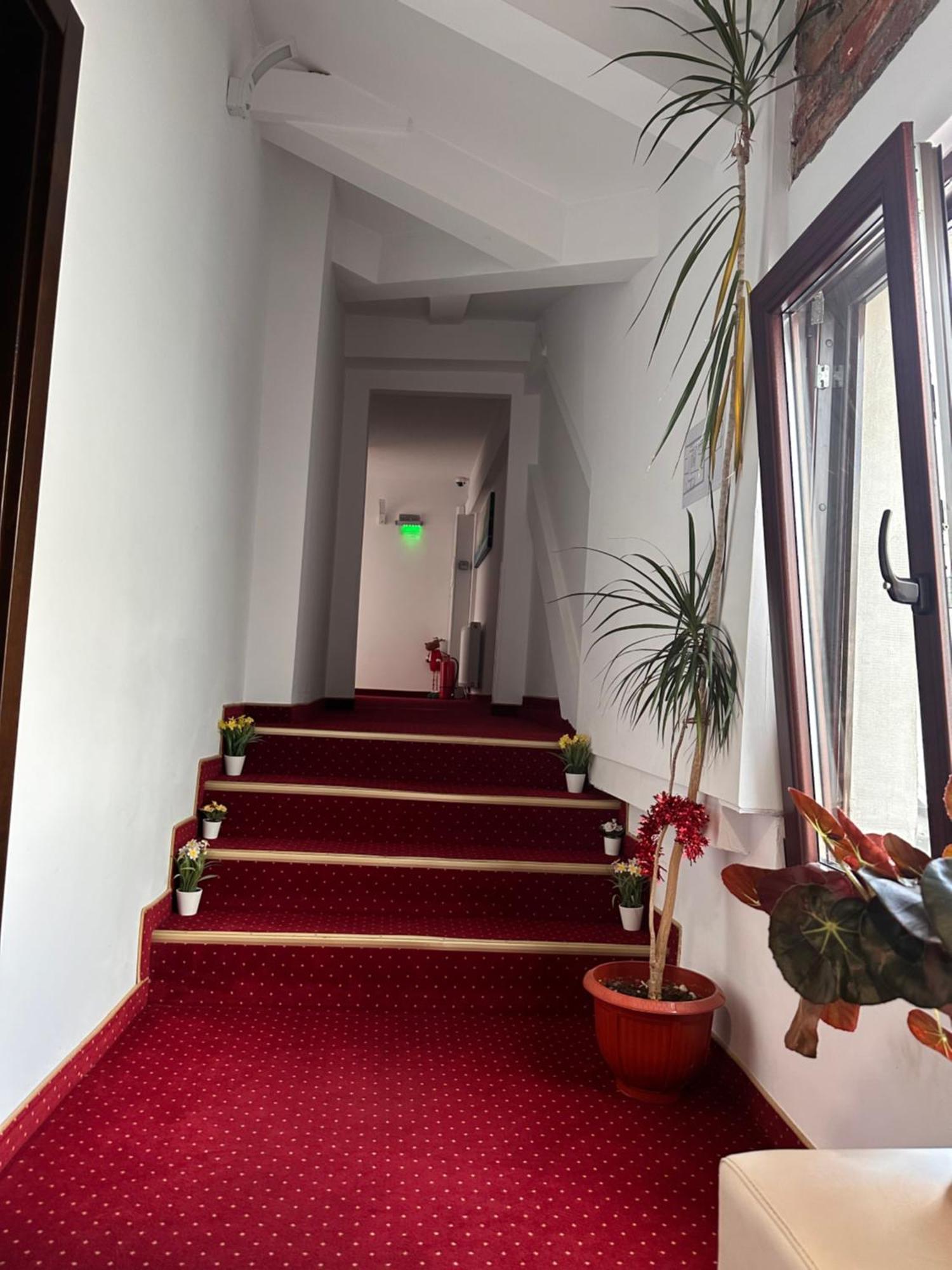 Pensiunea Sada Făgăraş Exterior foto